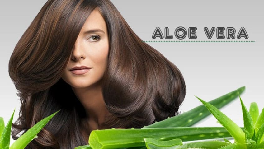 nefes geyik Üretim  Aloe Vera e Caduta dei Capelli: 10 modi per usare l' Aloe Vera per la  ricrescita dei capelli ⋆ CentroNordSud